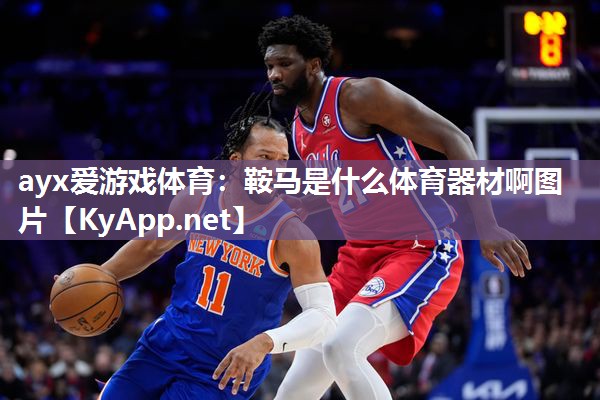 ayx爱游戏体育：鞍马是什么体育器材啊图片