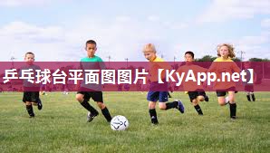 乒乓球台平面图图片