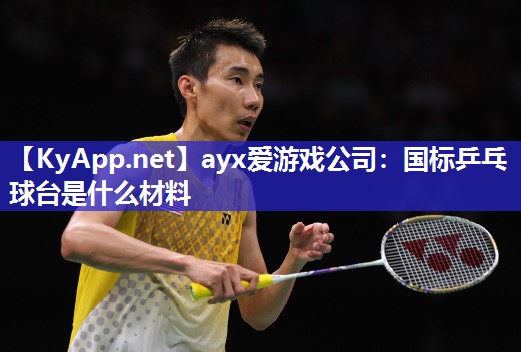 ayx爱游戏公司：国标乒乓球台是什么材料