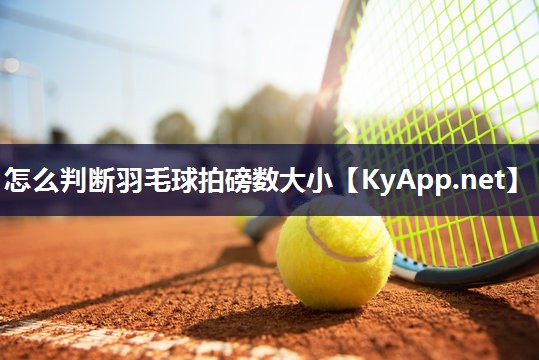 怎么判断羽毛球拍磅数大小