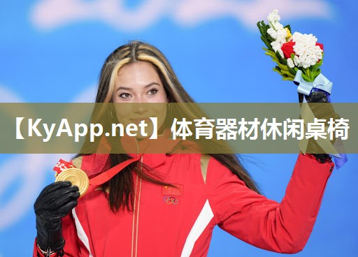 体育器材休闲桌椅