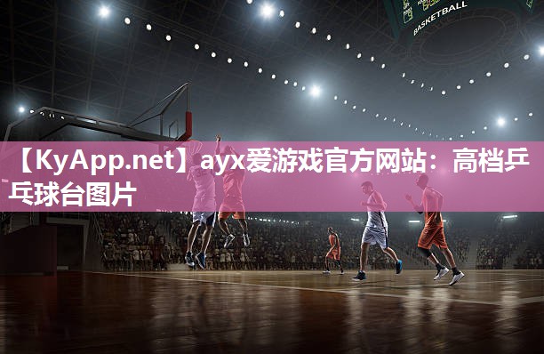 ayx爱游戏官方网站：高档乒乓球台图片