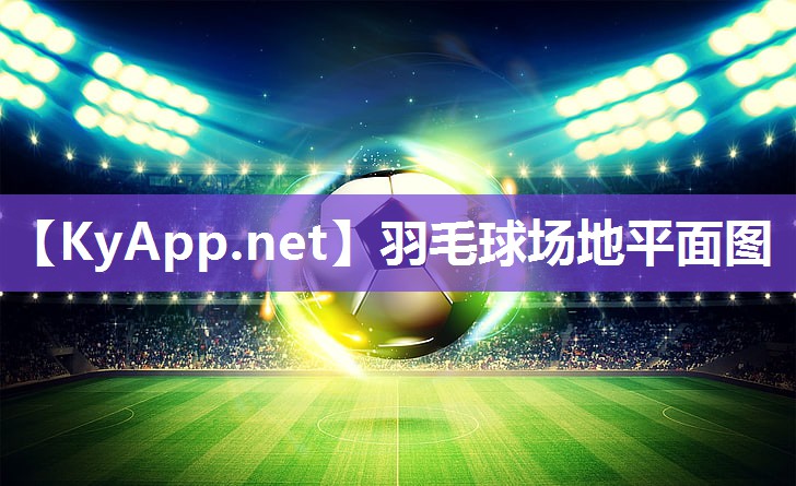 羽毛球场地平面图