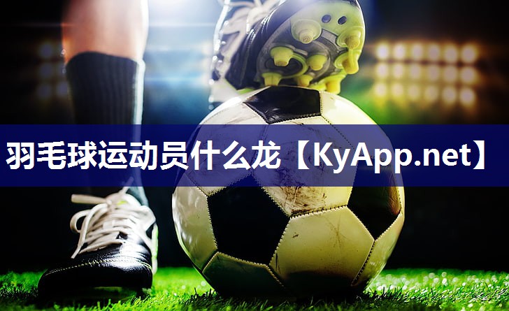 羽毛球运动员什么龙