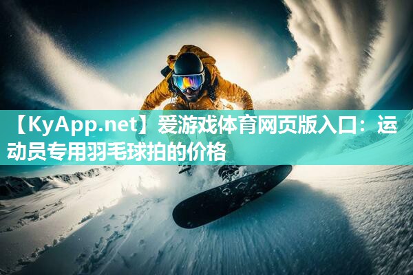 爱游戏体育网页版入口：运动员专用羽毛球拍的价格