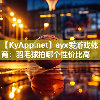 ayx爱游戏体育：羽毛球拍哪个性价比高