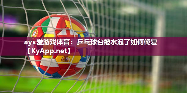 乒乓球台被水泡了如何修复 乒乓球台被水泡了如何修复