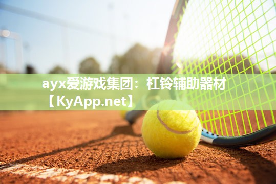 杠铃辅助器材 杠铃辅助器材