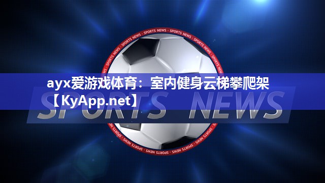 室内健身云梯攀爬架 室内健身云梯攀爬架