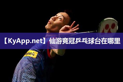 仙游竞冠乒乓球台在哪里 仙游竞冠乒乓球台在哪里