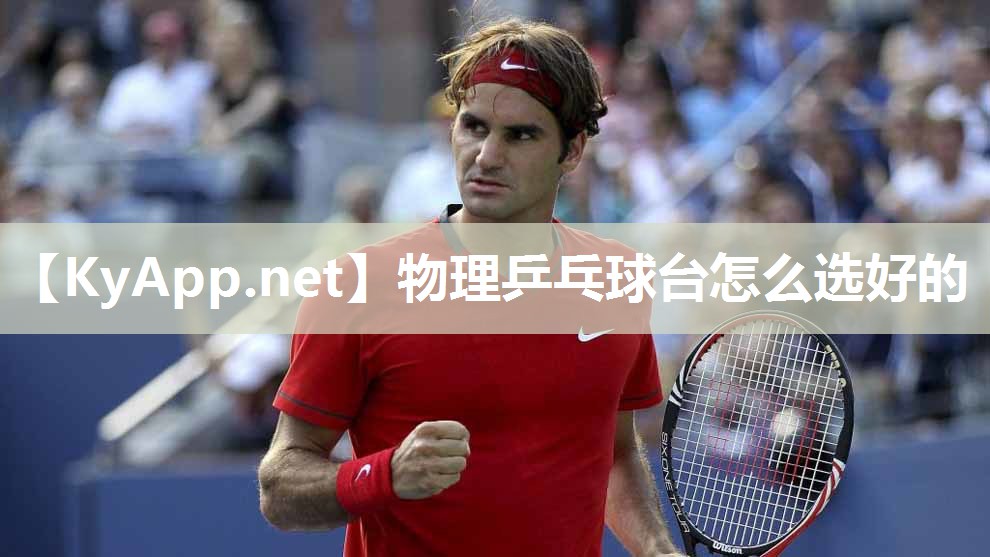 物理乒乓球台怎么选好的 物理乒乓球台怎么选好的