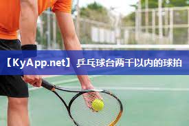 乒乓球台两千以内的球拍 乒乓球台两千以内的球拍