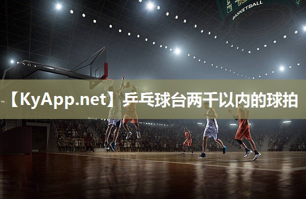 乒乓球台两千以内的球拍 乒乓球台两千以内的球拍