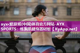 练胸肌健身器材组 练胸肌健身器材组