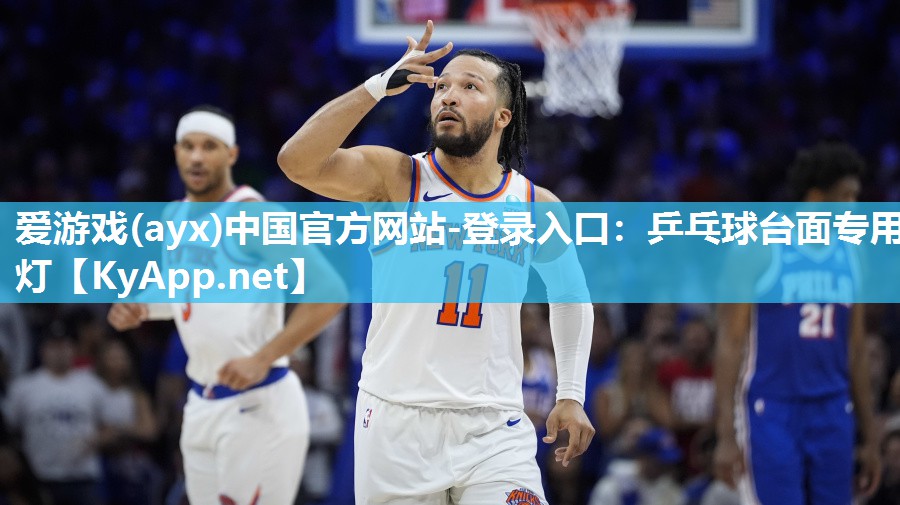 乒乓球台面专用灯 乒乓球台面专用灯