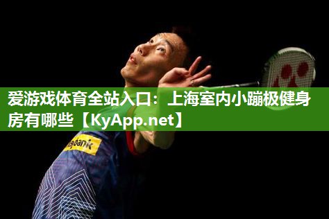 上海室内小蹦极健身房有哪些 上海室内小蹦极健身房有哪些