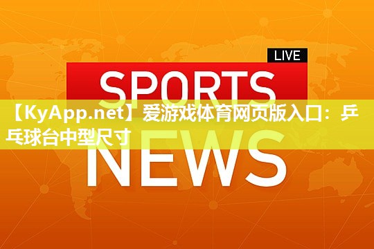 乒乓球台中型尺寸 乒乓球台中型尺寸