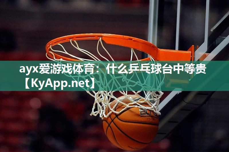 什么乒乓球台中等贵 什么乒乓球台中等贵