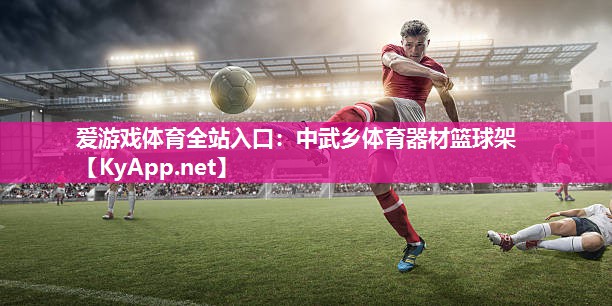中武乡体育器材篮球架 中武乡体育器材篮球架