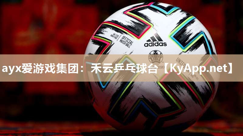 禾云乒乓球台 禾云乒乓球台