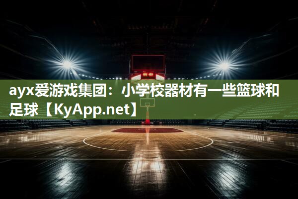 小学校器材有一些篮球和足球 小学校器材有一些篮球和足球