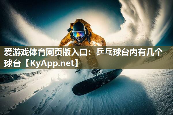 乒乓球台内有几个球台 乒乓球台内有几个球台