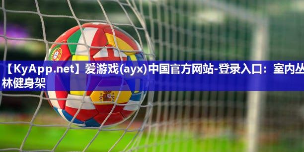 室内丛林健身架 室内丛林健身架