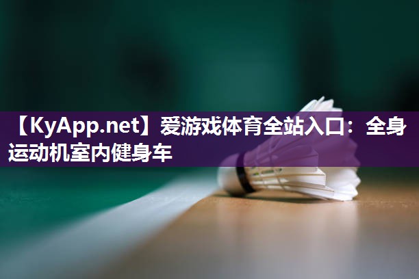 全身运动机室内健身车 全身运动机室内健身车