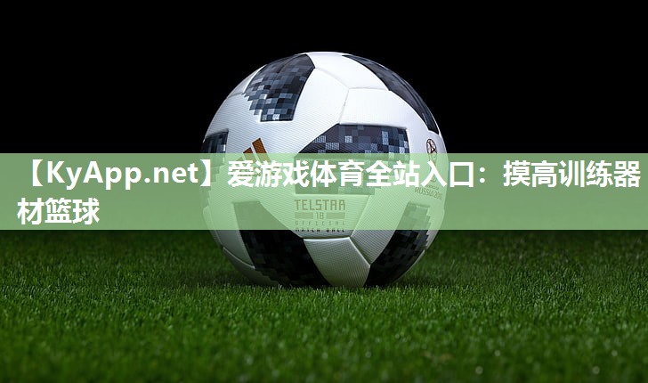 摸高训练器材篮球 摸高训练器材篮球