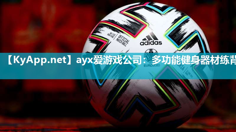 多功能健身器材练背 多功能健身器材练背
