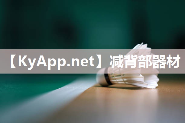 减背部器材 减背部器材