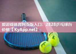 2828乒乓球台价格 2828乒乓球台价格