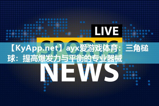三角槌球:提高爆发力与平衡的专业器械 三角槌球:提高爆发力与平衡的专业器械