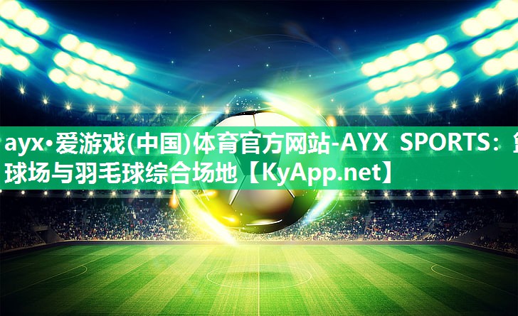 篮球场与羽毛球综合场地 篮球场与羽毛球综合场地