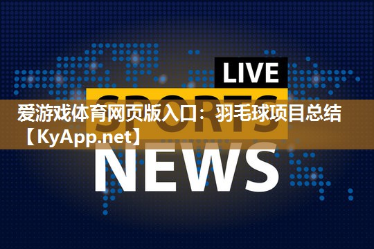 羽毛球项目总结 羽毛球项目总结