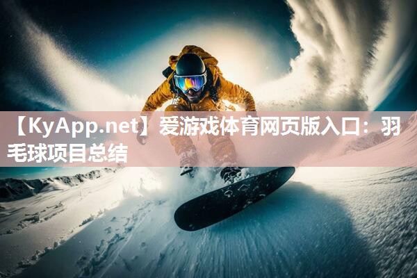羽毛球项目总结 羽毛球项目总结