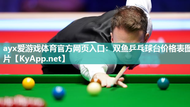 双鱼乒乓球台价格表图片 双鱼乒乓球台价格表图片