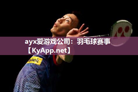 羽毛球赛事 羽毛球赛事