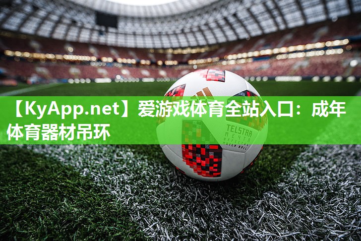 成年体育器材吊环 成年体育器材吊环