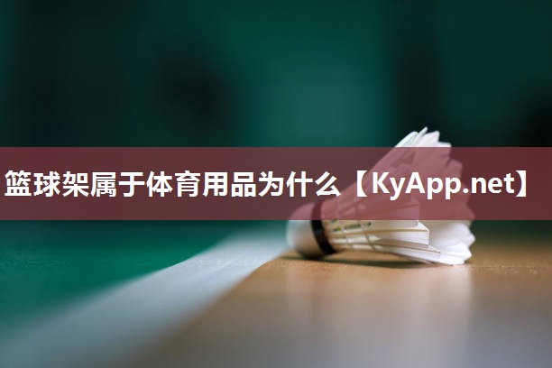 篮球架属于体育用品为什么 篮球架属于体育用品为什么