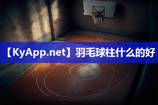 羽毛球柱什么的好 羽毛球柱什么的好