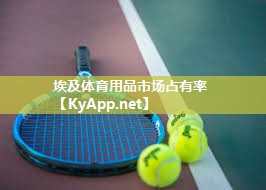 埃及体育用品市场占有率 埃及体育用品市场占有率