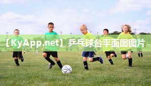 乒乓球台平面图图片 乒乓球台平面图图片