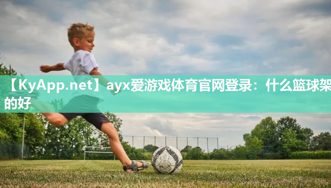 什么篮球架的好 什么篮球架的好