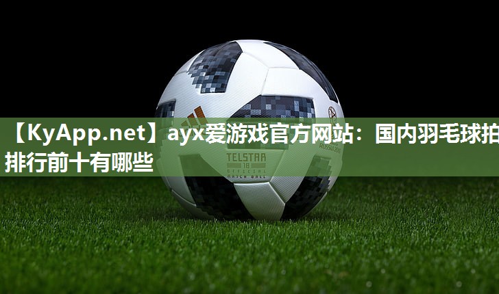 国内羽毛球拍排行前十有哪些 国内羽毛球拍排行前十有哪些