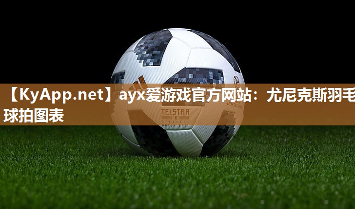 尤尼克斯羽毛球拍图表 尤尼克斯羽毛球拍图表