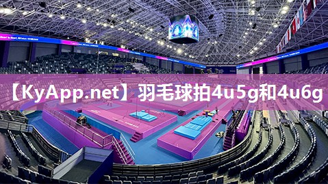 羽毛球拍4u5g和4u6g 羽毛球拍4u5g和4u6g