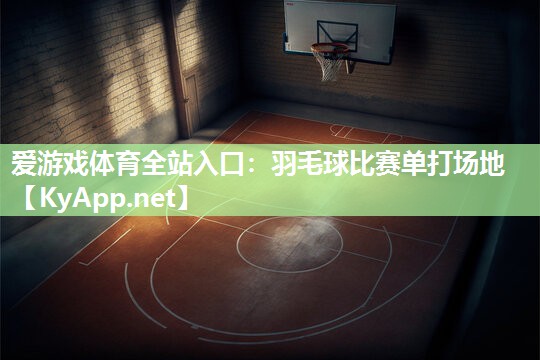 羽毛球比赛单打场地 羽毛球比赛单打场地