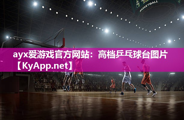 高档乒乓球台图片 高档乒乓球台图片