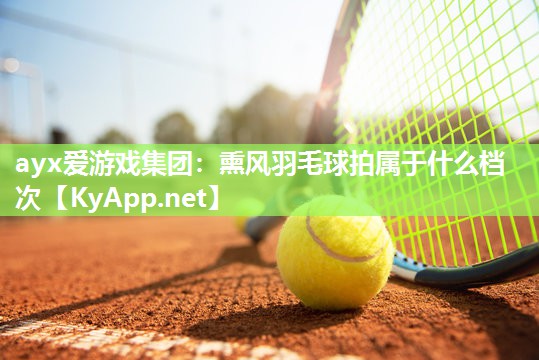 熏风羽毛球拍属于什么档次 熏风羽毛球拍属于什么档次